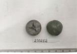 Click for 1 image(s) for this accession. FRUIT